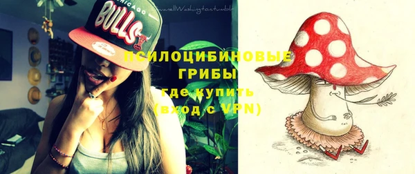 ГАЛЛЮЦИНОГЕННЫЕ ГРИБЫ Новокубанск
